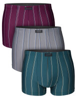 3er/6er Pack Herren Retro Shorts Boxershorts Unterhose...